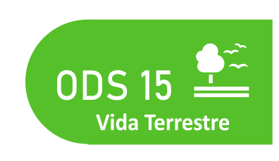 ODS 15